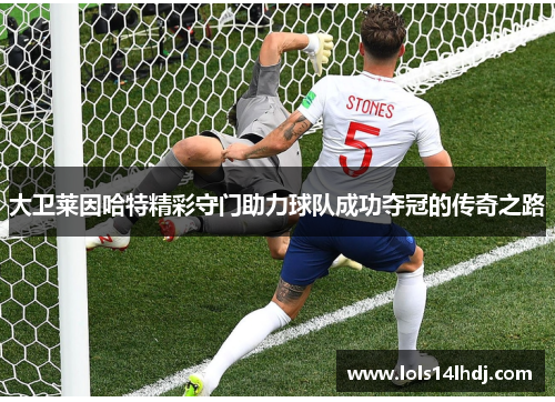 大卫莱因哈特精彩守门助力球队成功夺冠的传奇之路