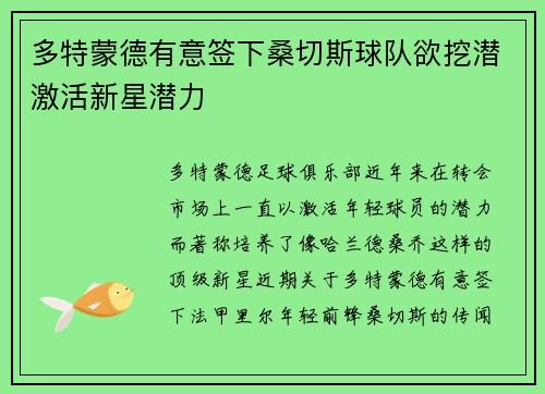 多特蒙德有意签下桑切斯球队欲挖潜激活新星潜力